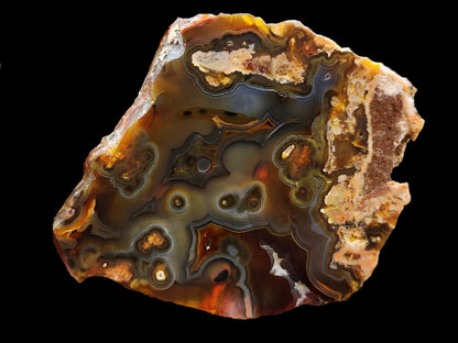 Orbicular Agate Pair