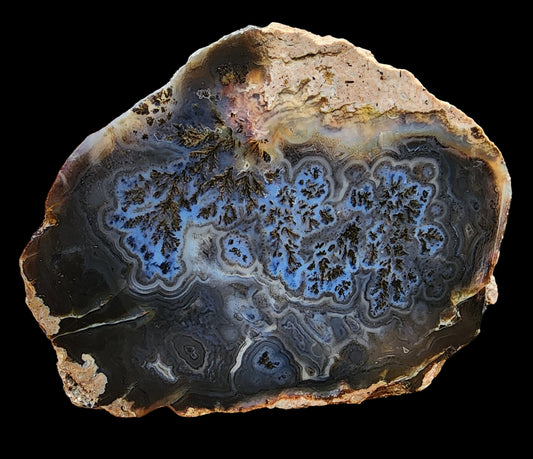 Dark Blue Dendritic Agate