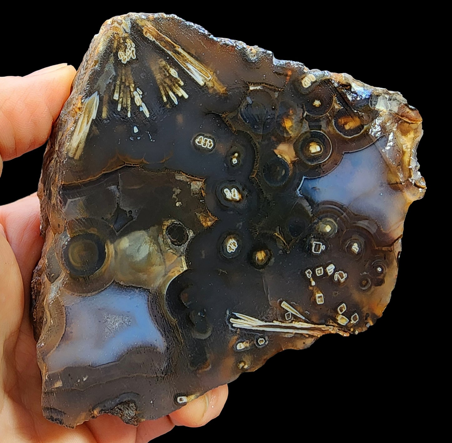 Eye Agate Pair