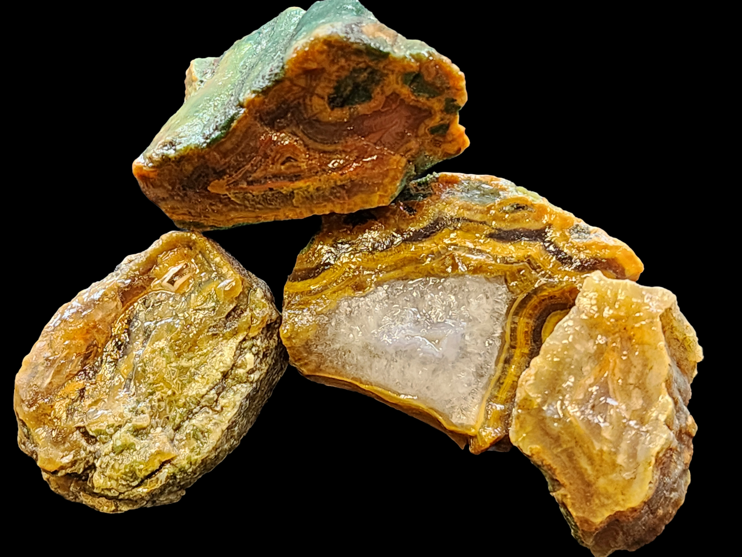 Agatized Wood - Raw Limb Casts  (10.37 oz)