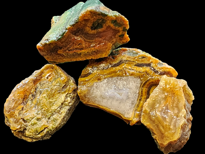 Agatized Wood - Raw Limb Casts  (10.37 oz)