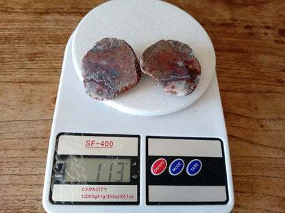 Stromatolite Fossil Agate