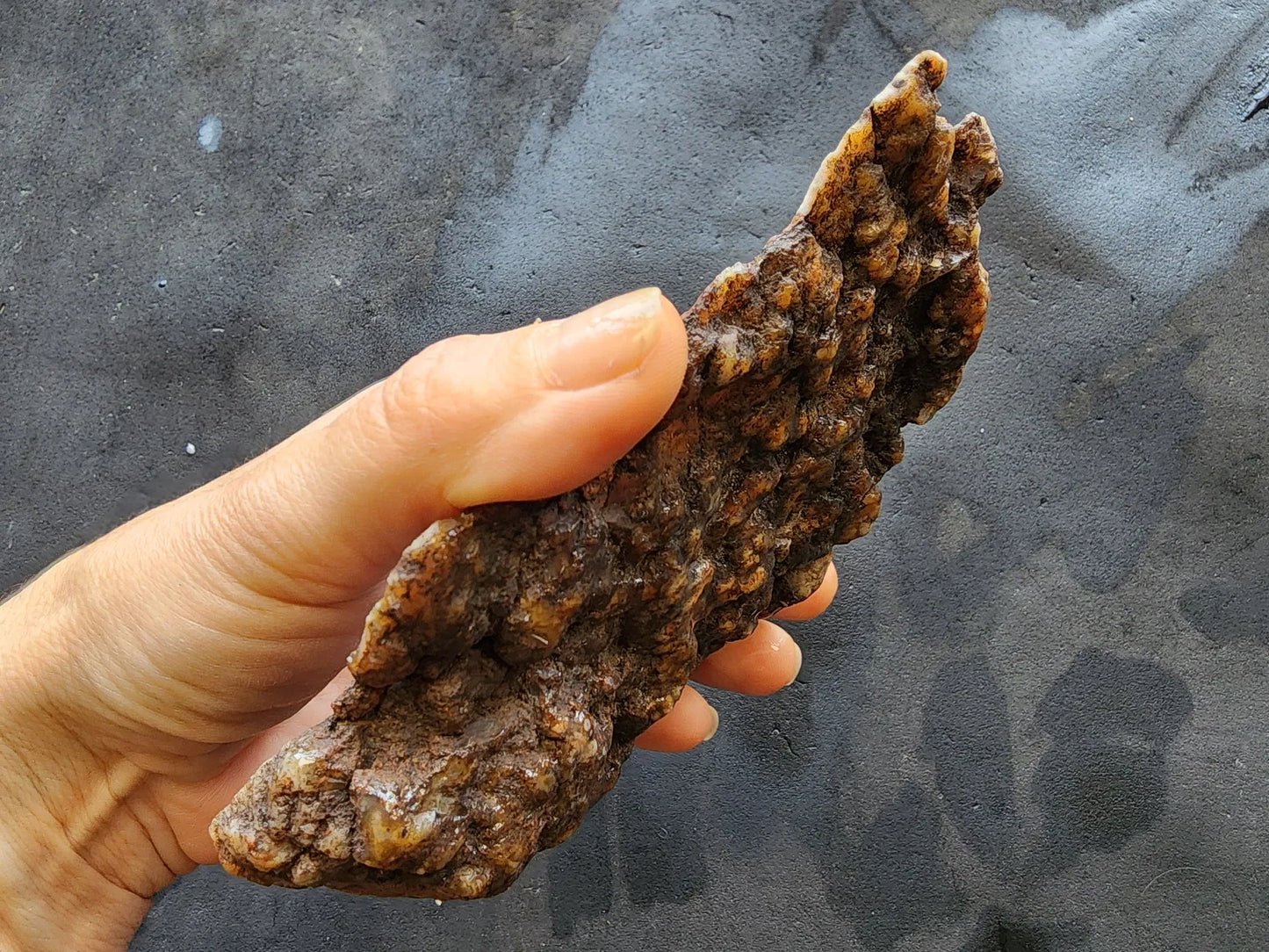 Scream - Art of Agate Slab