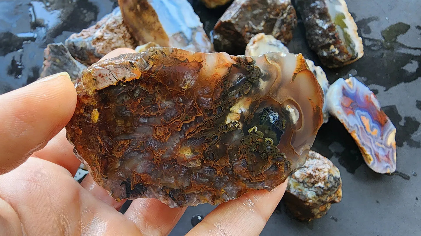 Agate Slices Lot 4.12 lbs