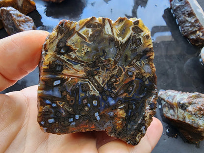 Agate Slices Lot 4.12 lbs