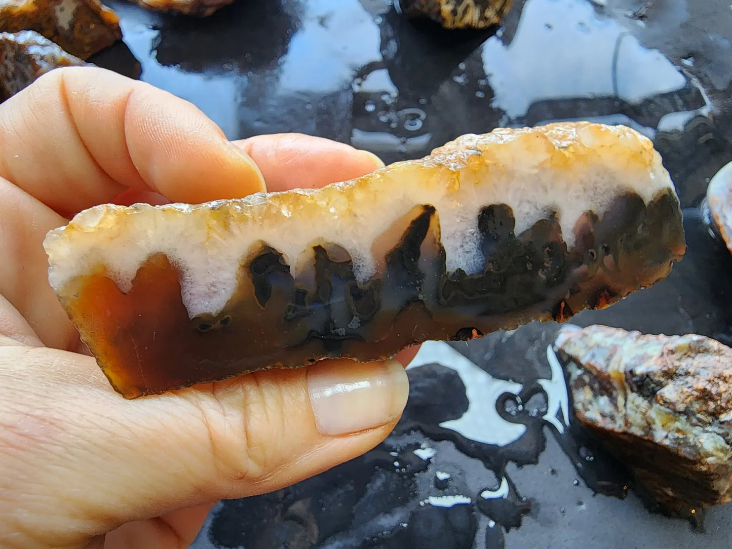 Agate Slices Lot 4.12 lbs