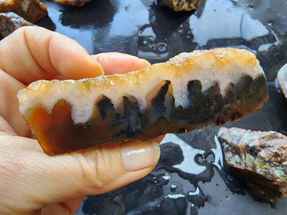 Agate Slices Lot 4.12 lbs