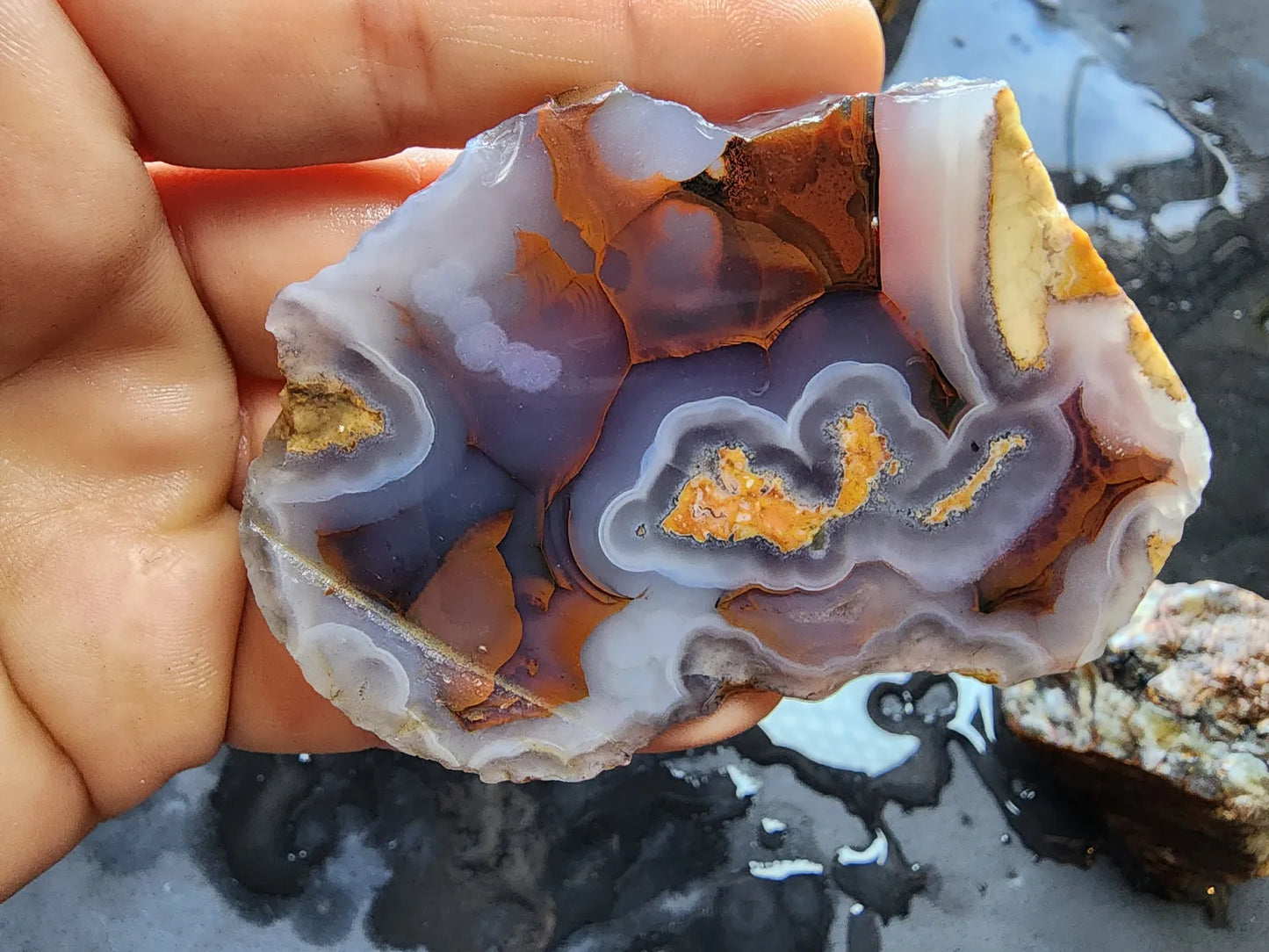 Agate Slices Lot 4.12 lbs