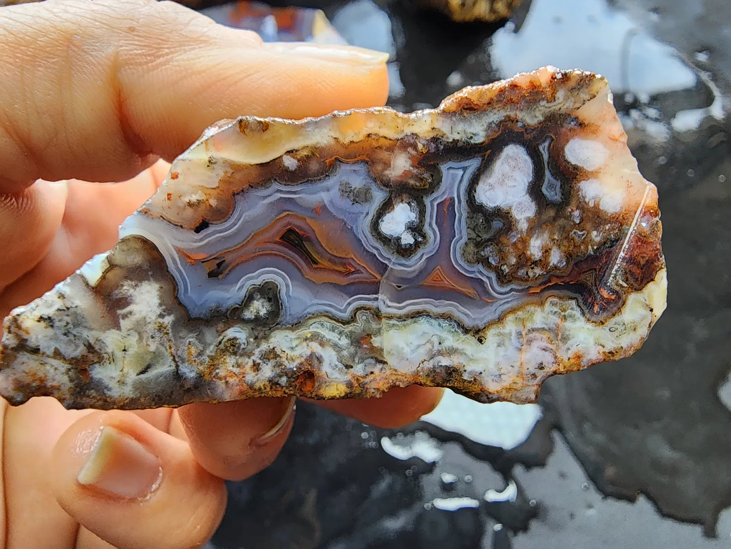 Agate Slices Lot 4.12 lbs