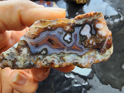 Agate Slices Lot 4.12 lbs