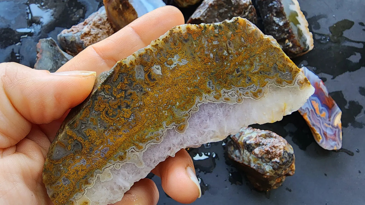 Agate Slices Lot 4.12 lbs