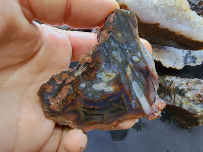 Agate Slices Lot 4.12 lbs