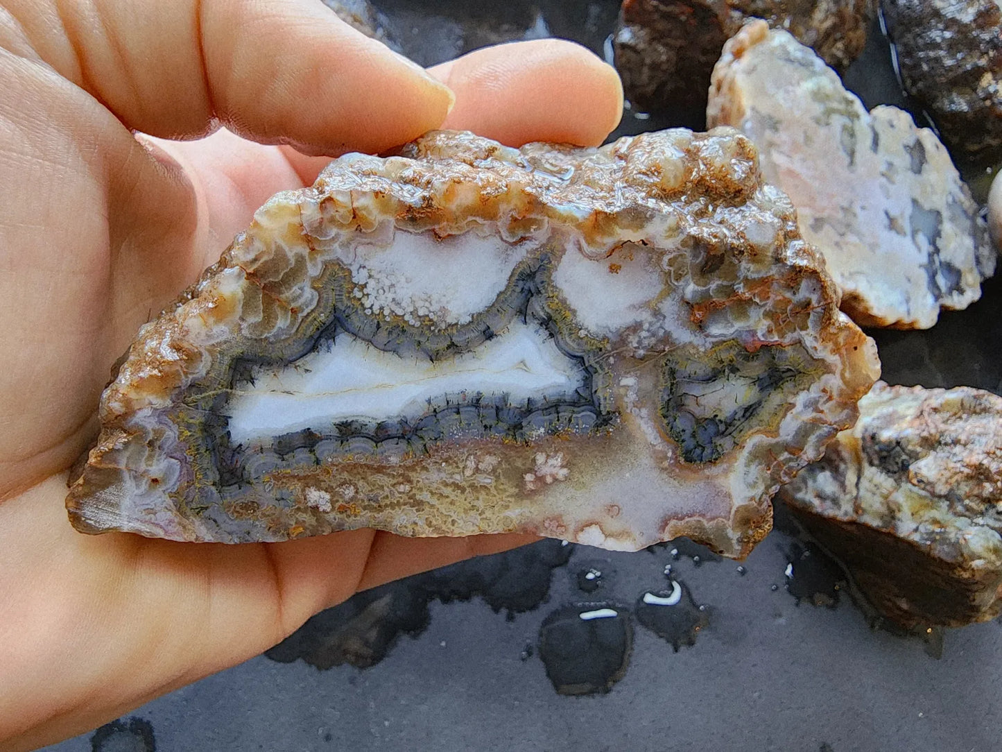 Agate Slices Lot 4.12 lbs