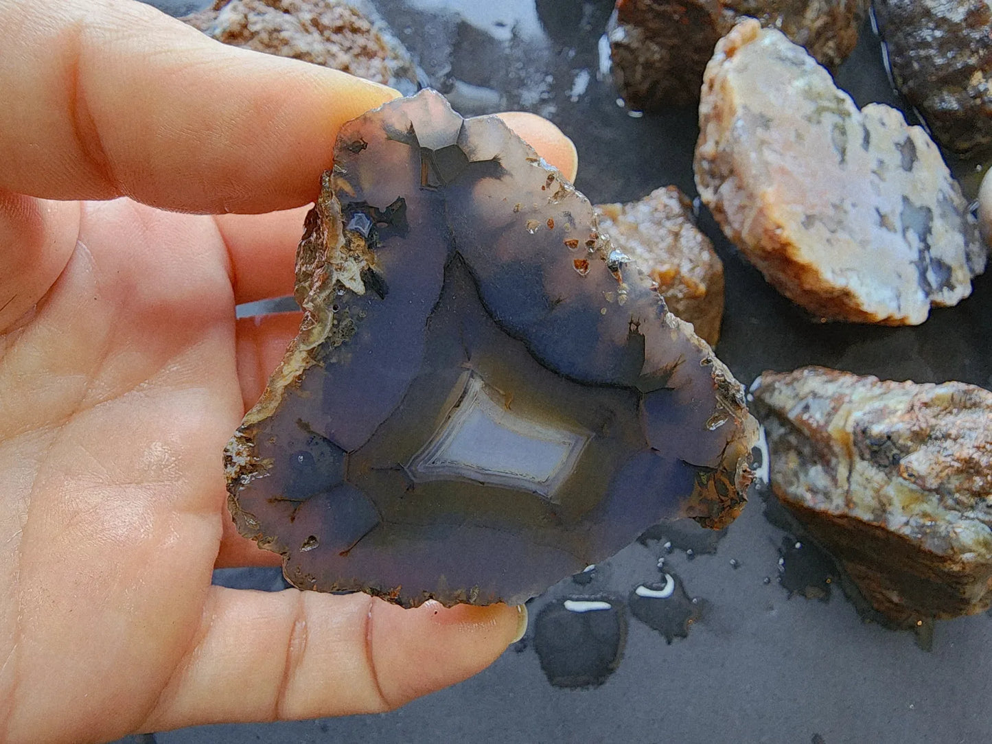 Agate Slices Lot 4.12 lbs