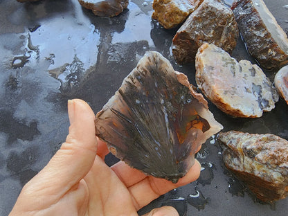 Agate Slices Lot 4.12 lbs