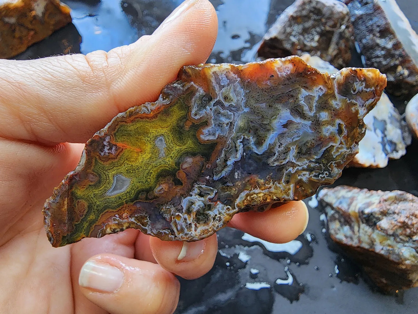 Agate Slices Lot 4.12 lbs