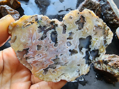 Agate Slices Lot 4.12 lbs