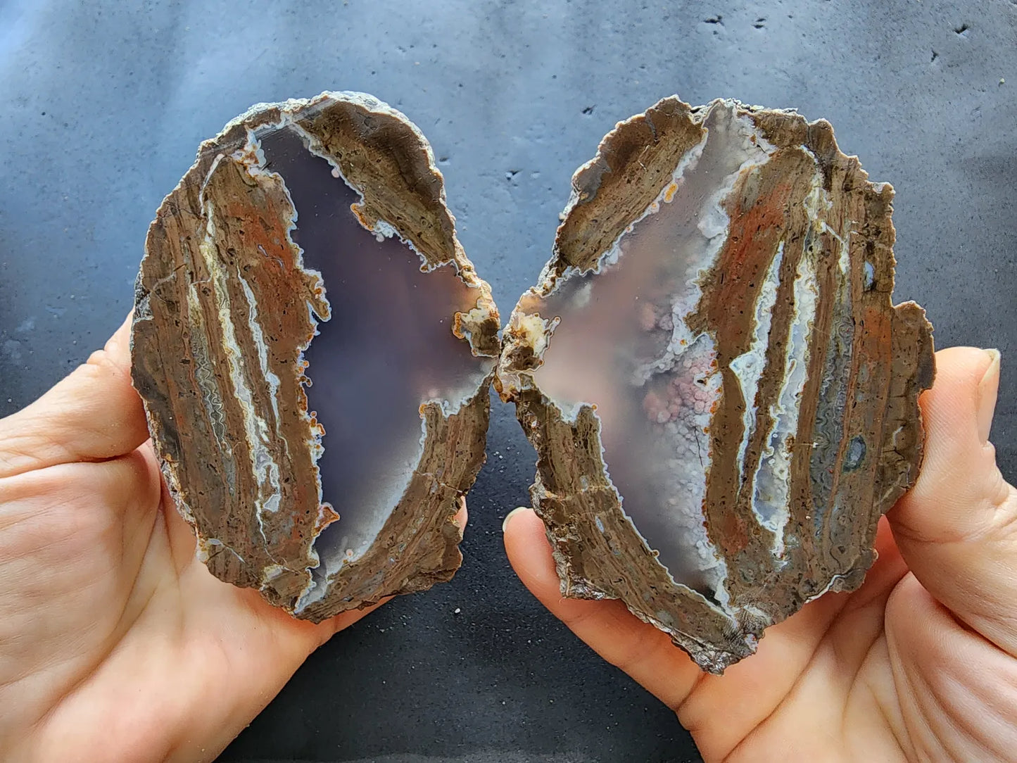 Rare Thunder Egg Pair