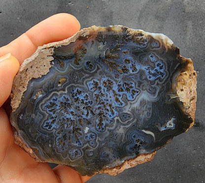 Dark Blue Dendritic Agate
