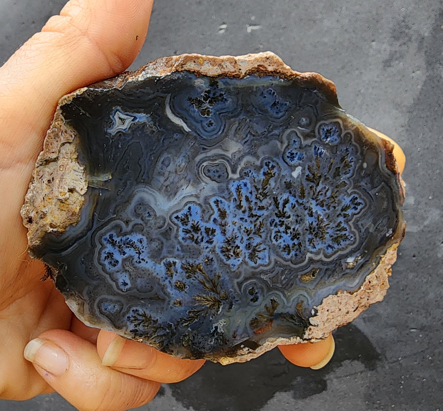Dark Blue Dendritic Agate