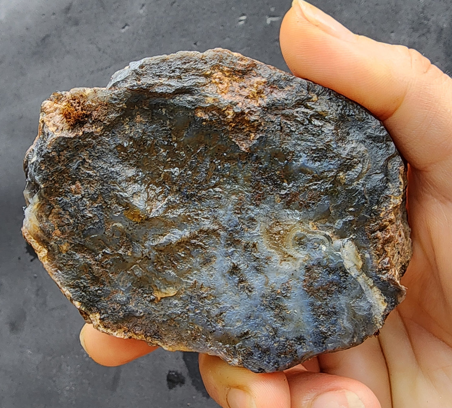 Dark Blue Dendritic Agate