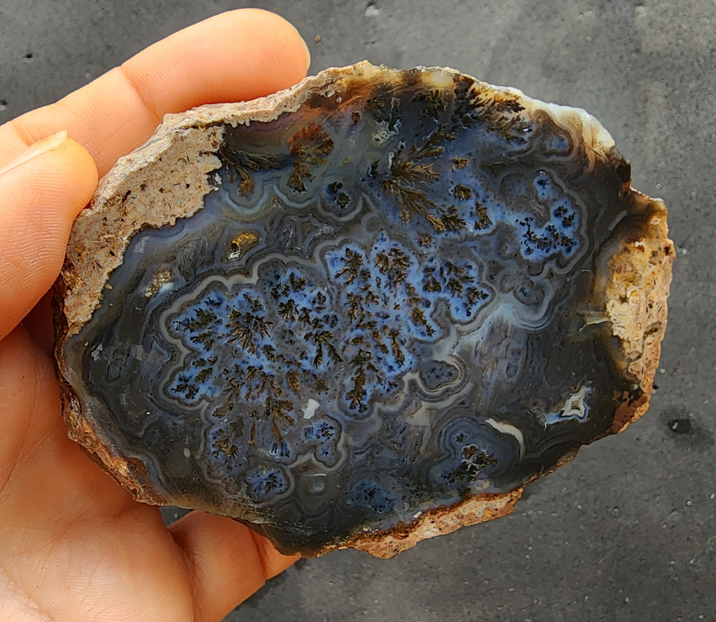 Dark Blue Dendritic Agate