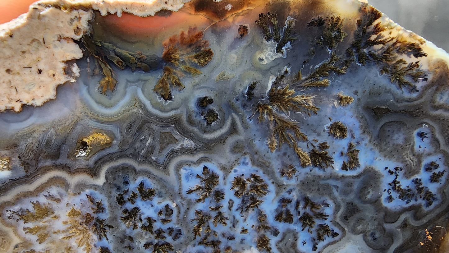 Dark Blue Dendritic Agate