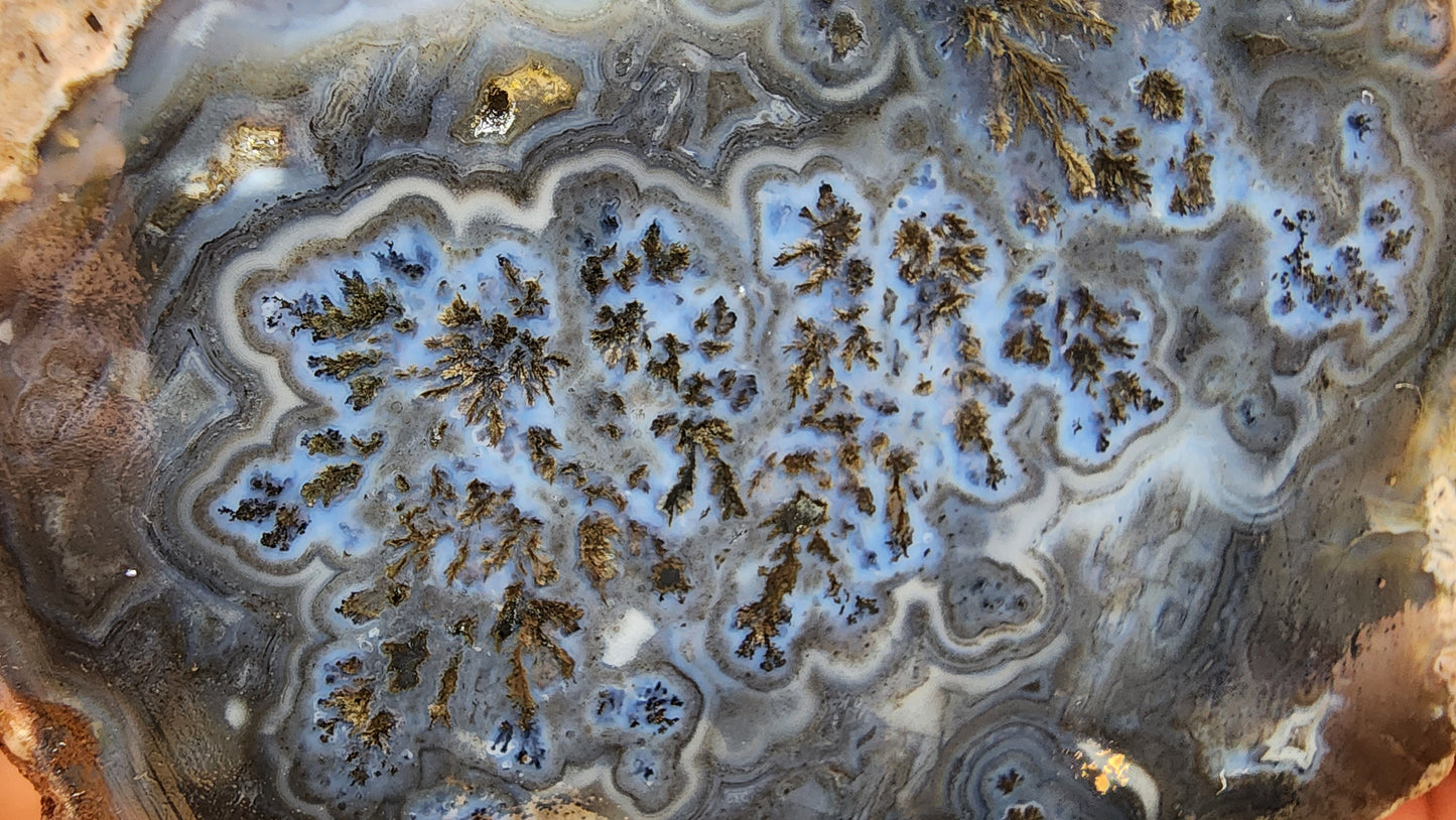 Dark Blue Dendritic Agate