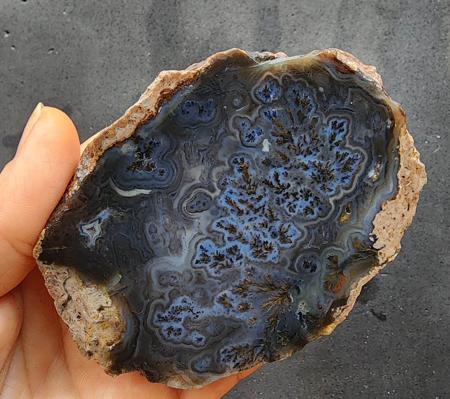 Dark Blue Dendritic Agate