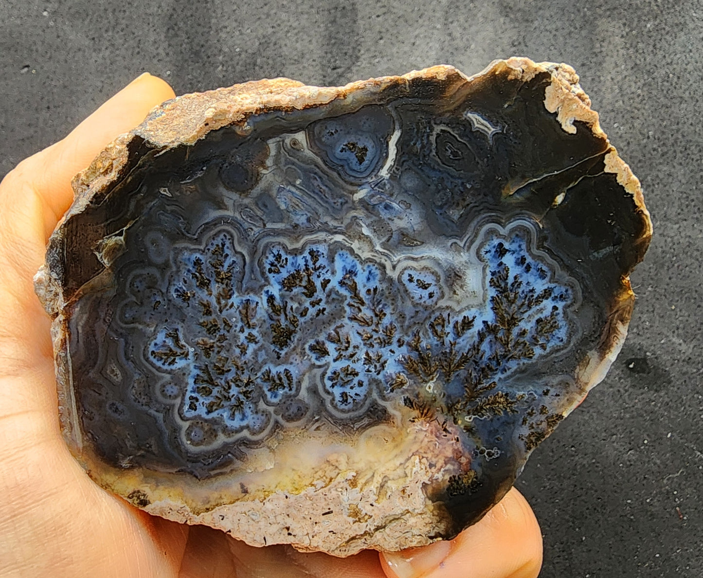 Dark Blue Dendritic Agate