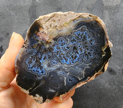Dark Blue Dendritic Agate