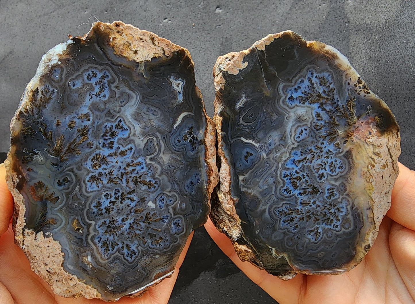 Dark Blue Dendritic Agate