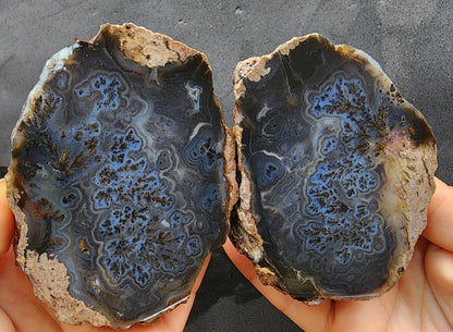 Dark Blue Dendritic Agate
