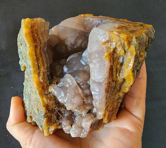 Agatized Petrified Wood