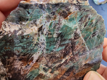 Colla Wood Slab