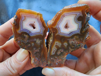 Polished Agate Pair