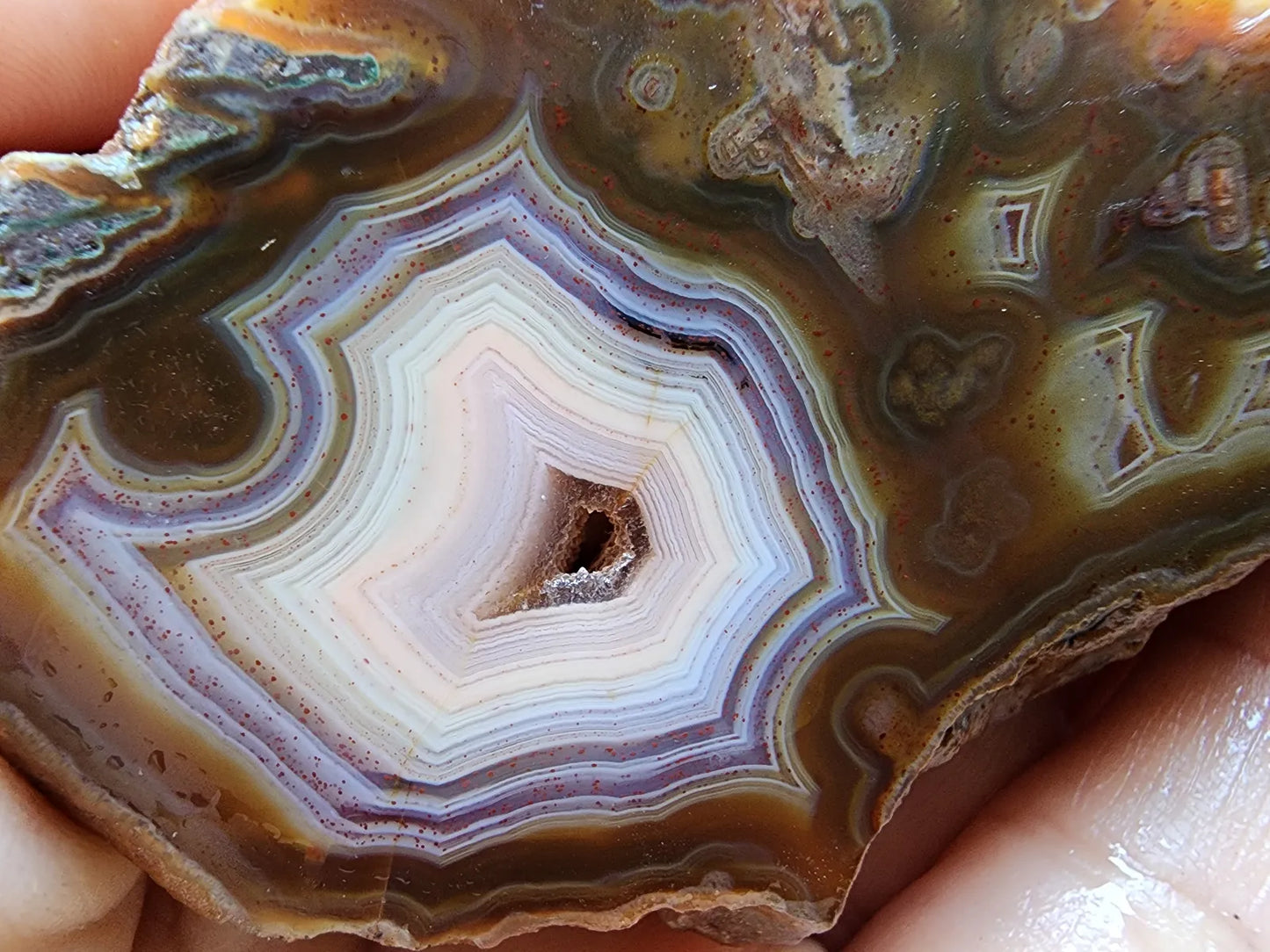 Polished Agate Pair