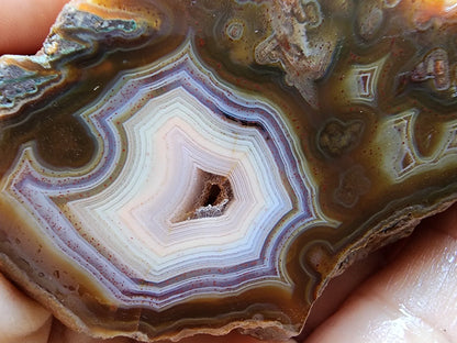 Polished Agate Pair