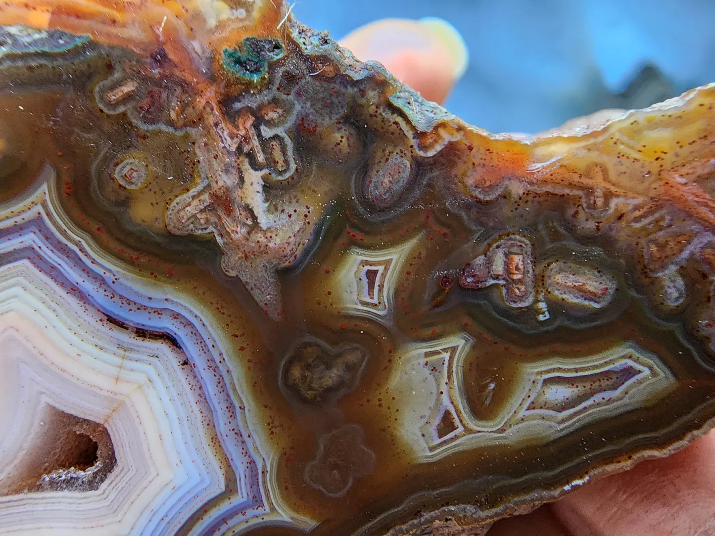 Polished Agate Pair
