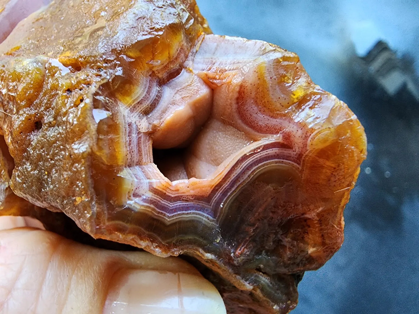 Polished Agate Pair