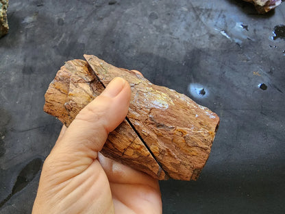 Banded Rhyolite Agate