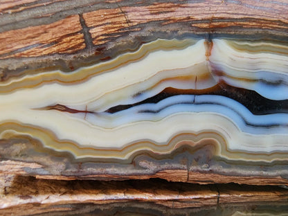 Banded Rhyolite Agate