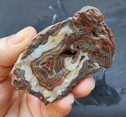 Triple-Floater Agate