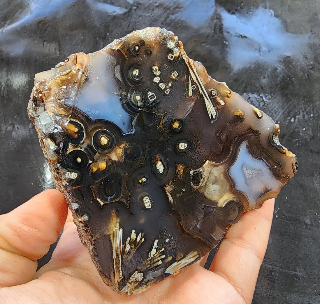 Eye Agate Pair