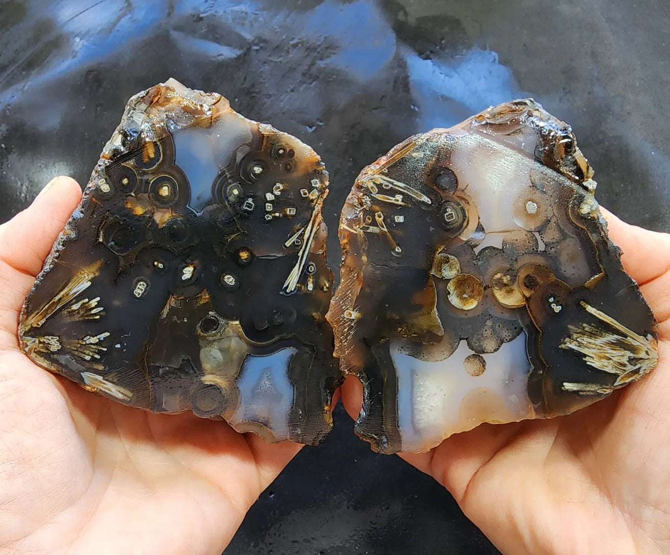 Eye Agate Pair