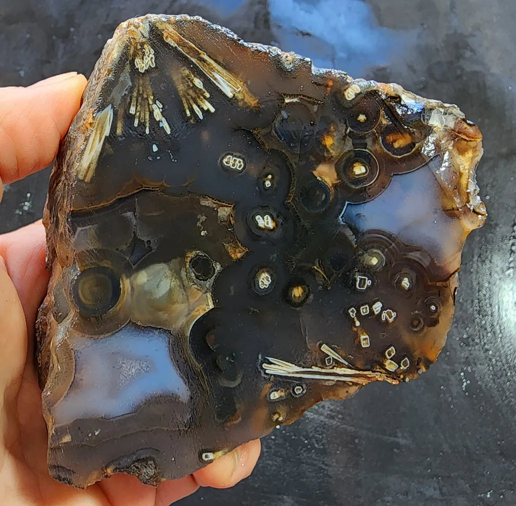 Eye Agate Pair