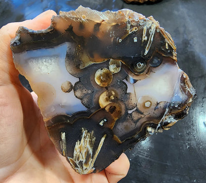 Eye Agate Pair