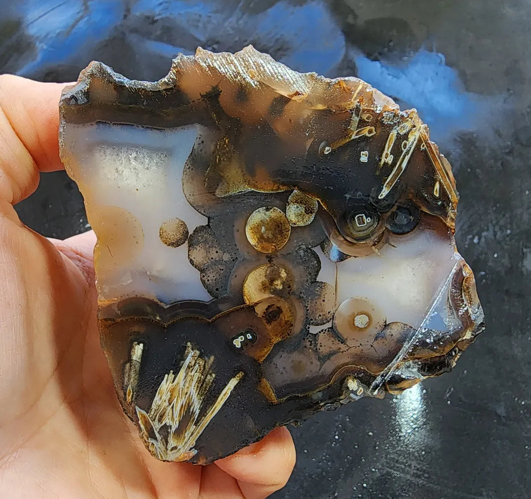 Eye Agate Pair