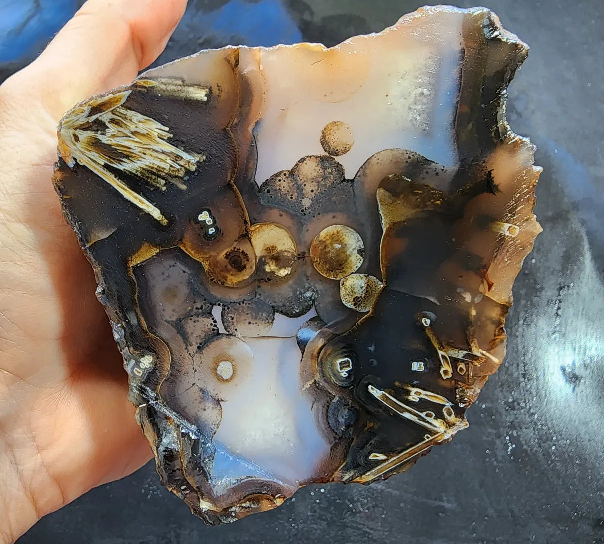 Eye Agate Pair