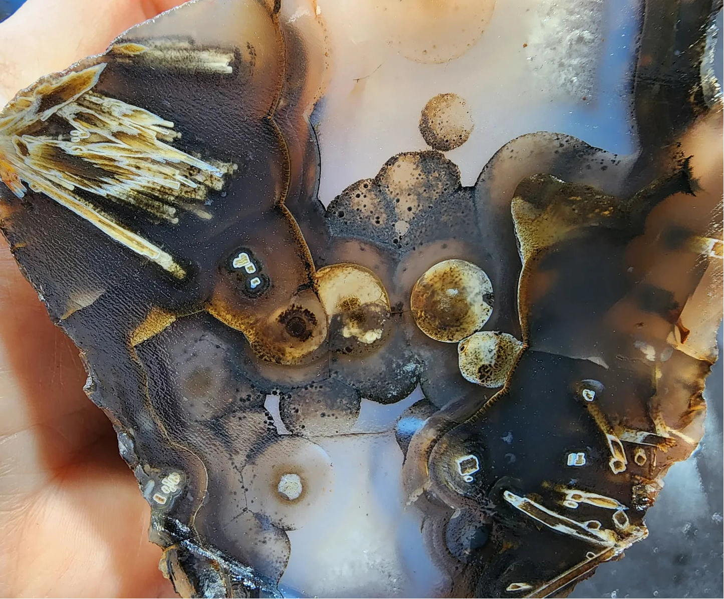 Eye Agate Pair
